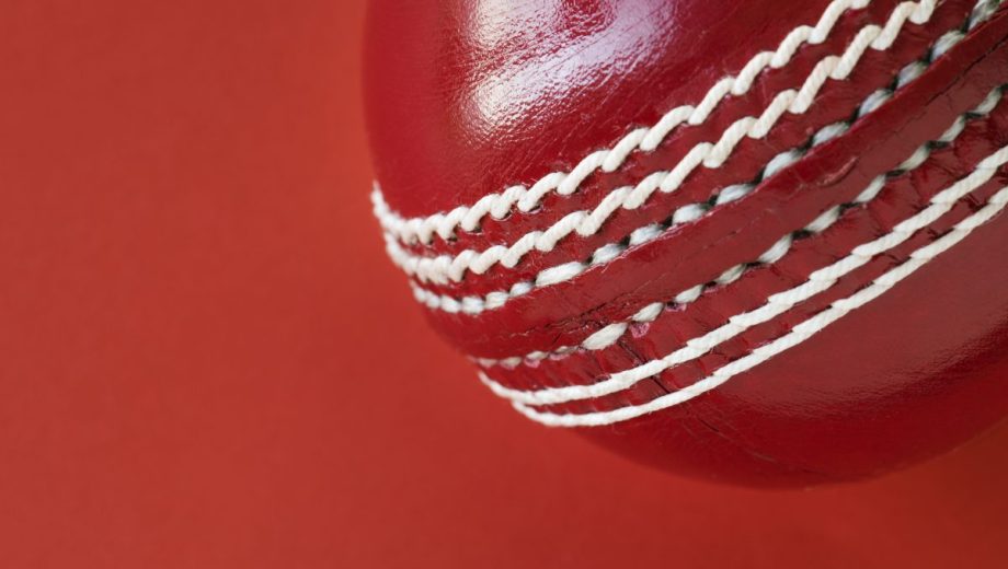 Cricket ball isolated